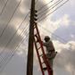 Electricity official climbing a ladder on a pole (image used for illustration) [Africa Is a Country]