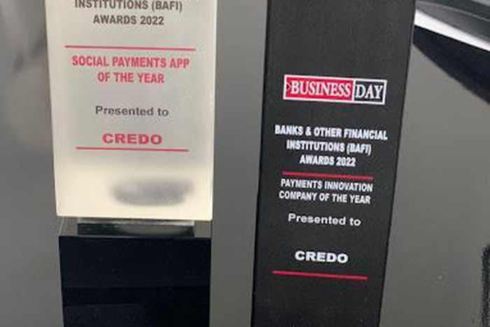 Credo scores a brace, wins double awards at BusinessDay’s BAFI Awards