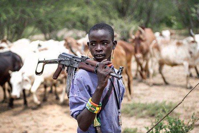 Armed herdsman (illustration)