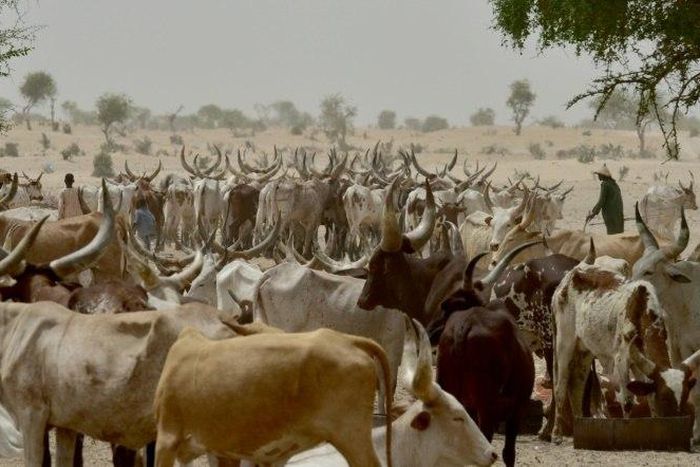 Clashes between herders and farmers are not unusual in drought-hit Niger, especially during the harvest which coincides with cattle being moved to pasture