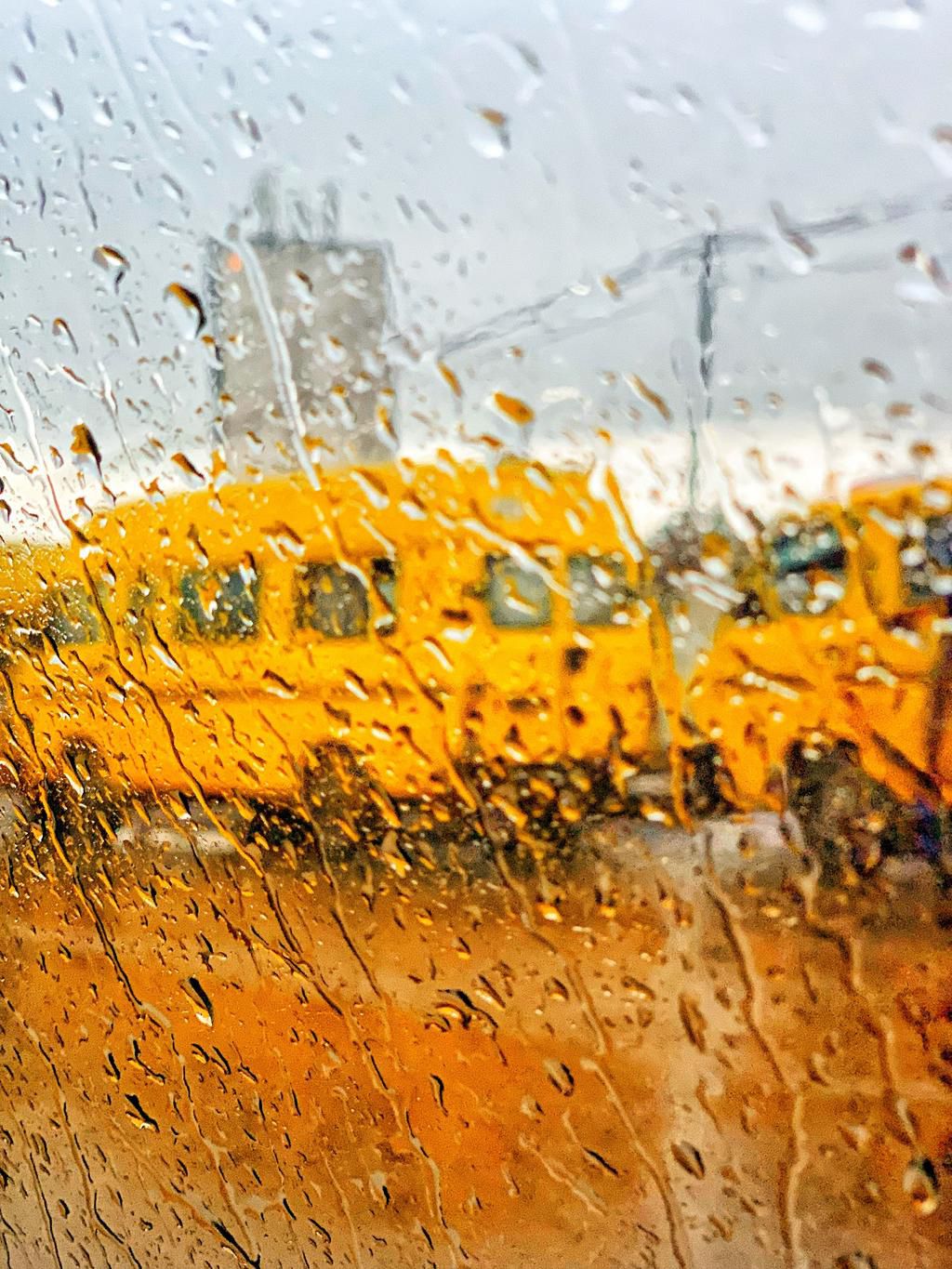 Why Did It Rain