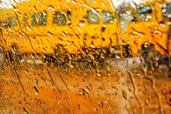 Photo by Zainab Lawal on Unsplash