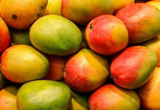 Mangoes are almost irresistible  [Jamaicacom]