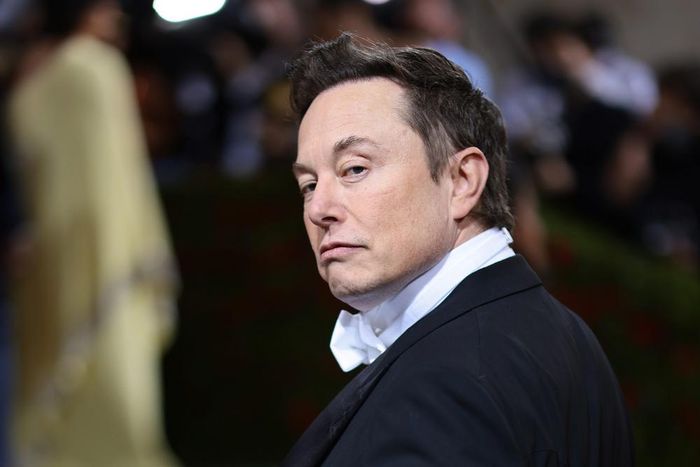 Elon Musk attends The 2022 Met Gala.Dimitrios Kambouris/Getty Images