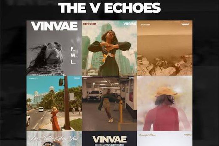 VinVae unveils ‘The V Echoes’ - A musical odyssey of evolution