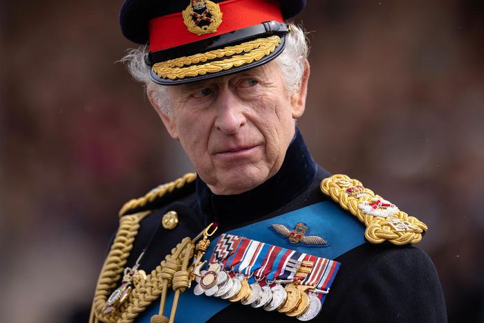 King Charles III.Dan Kitwood/Getty Images