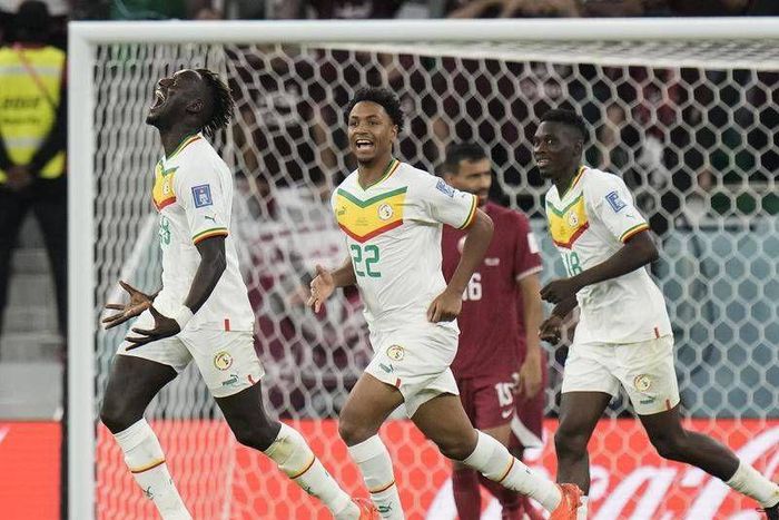 Teranga Lions roaring in Qatar.