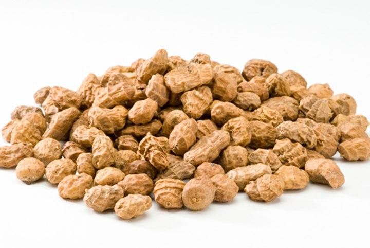 Tiger nuts