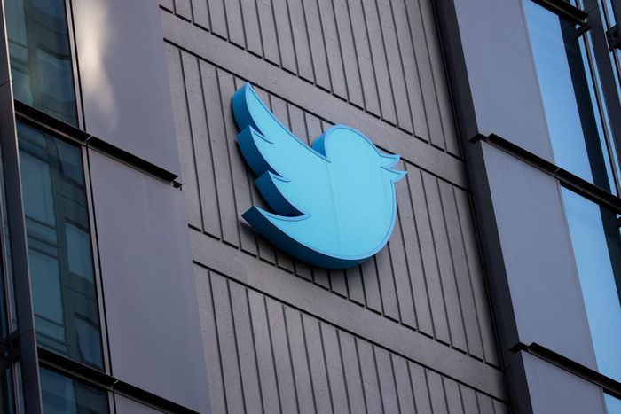 Elon Musk took control of Twitter a month ago.Ayfun Coskun/Getty Images