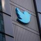 Elon Musk took control of Twitter a month ago.Ayfun Coskun/Getty Images