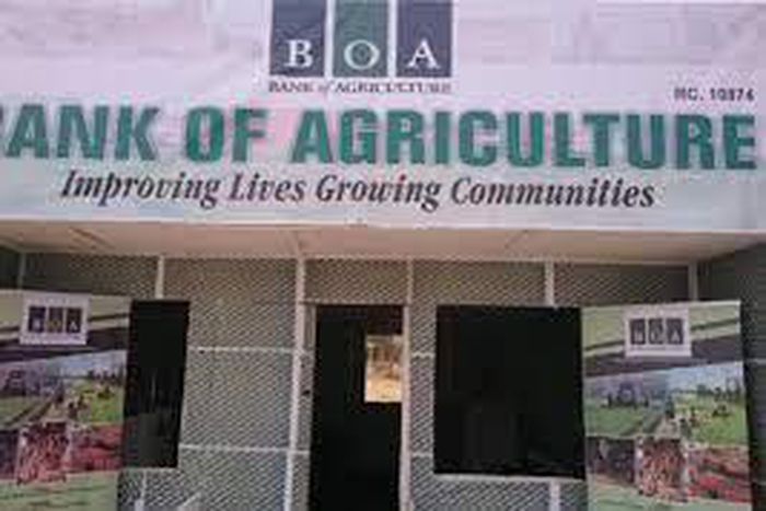 Bank of Agriculture (BOA) [Credit: Youth Entrepreneurship]