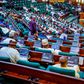 Lawmakers in the House of Representatives [NASS]