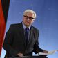 Germany's president: Frank Walter Steinmeier