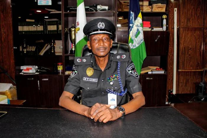 Commissioner of Police Hussaini Gumel [Daily Post]