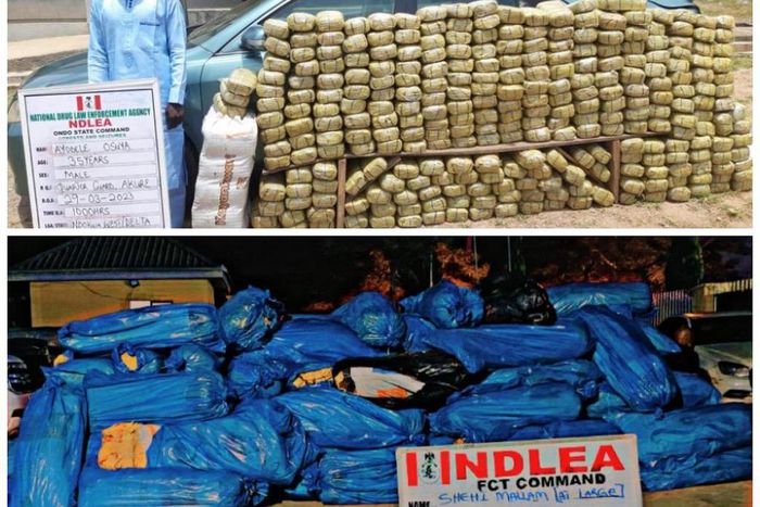NDLEA seizes 63 bags of cannabis, 12,000 tramadol, others in 5 states.