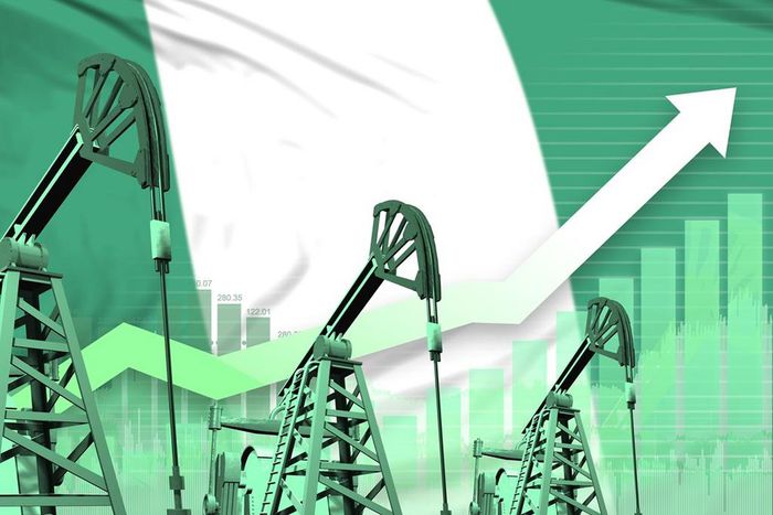 Nigeria can earn ₦10trn annually through knowledge based economy - Expert. [energyconnects]