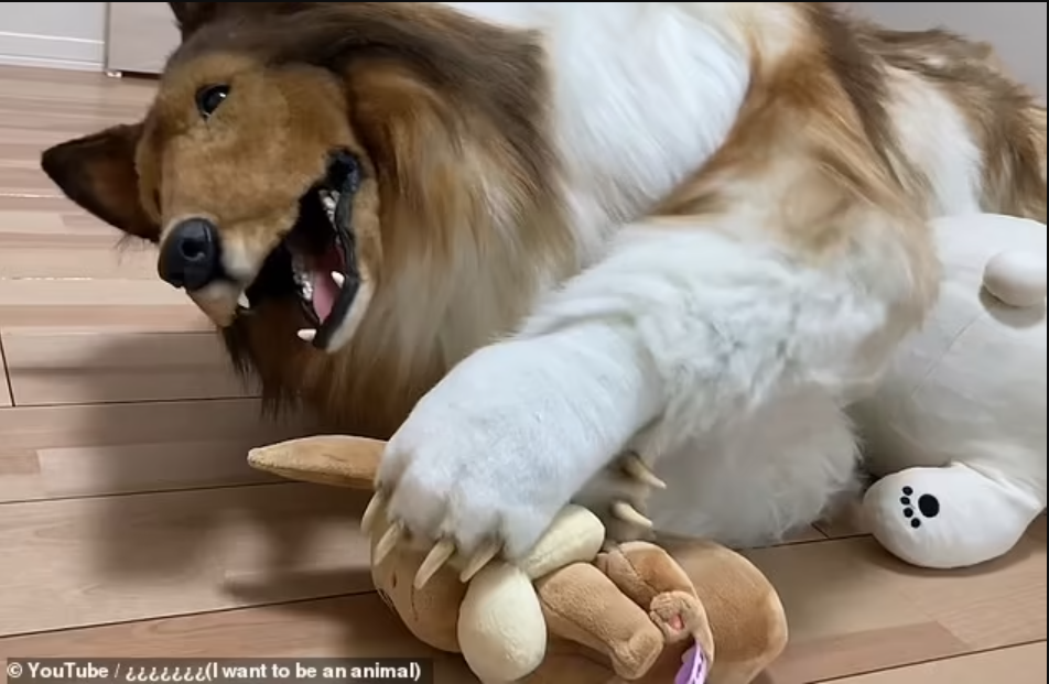 The Japanese man, now transformed to a dog, is embracing his new found identity [DailyMail]