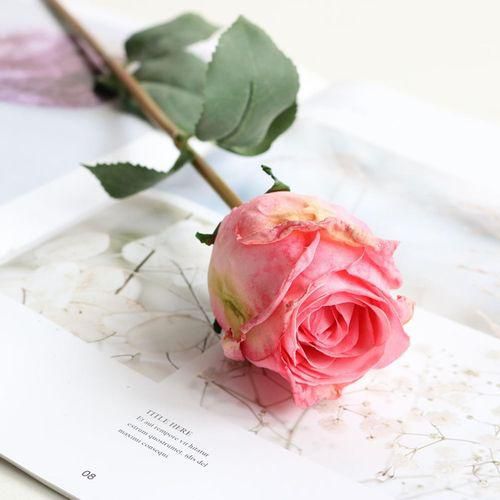 A single rose [jumia]