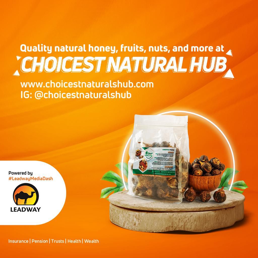 Leadway empowers Youth-owned businesses yet again with Leadway Media Dash 2.0