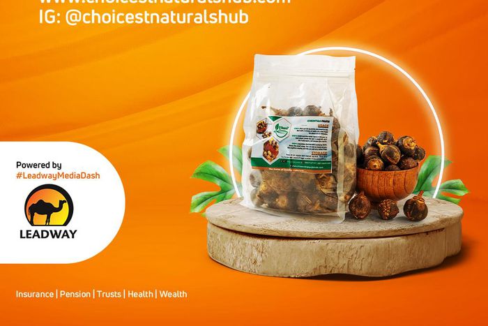 Leadway empowers Youth-owned businesses yet again with Leadway Media Dash 2.0