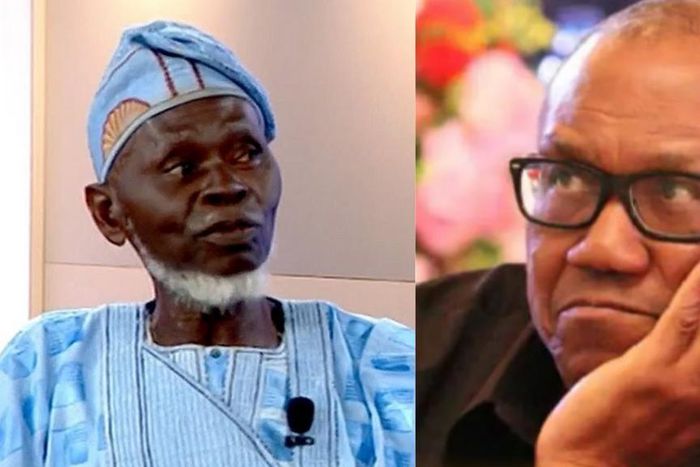 New twist in Labour Party leadership tussle as Lamidi Apapa takes over
