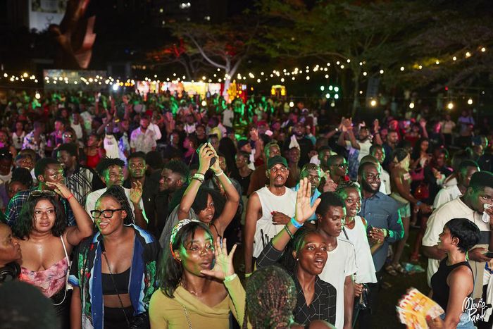 Movie in the Park Experience, shaping the public movie screening culture in Nigeria