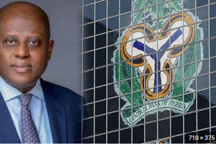 Yemi Cardoso, the Governor of the Central Bank of Nigeria [TechEconomy]
