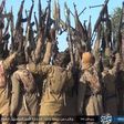 Boko Haram/ISWAP members