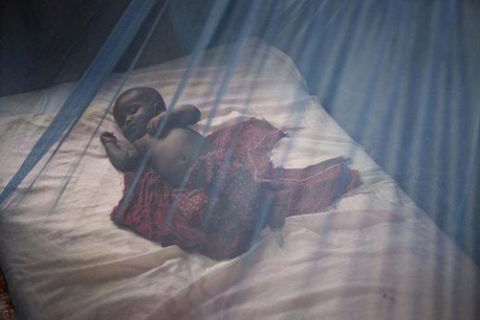 A baby under a mosquito net [Guardian]