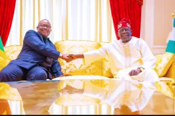 Prof. Jonah Onuoha and President Tinubu