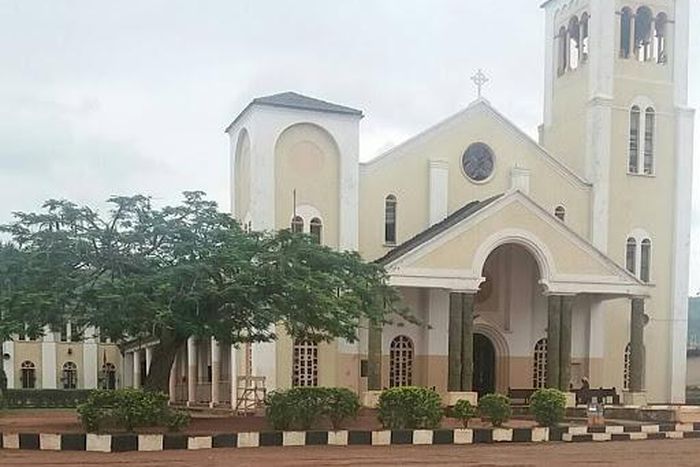 Enugu Catholic Diocese announces release of abducted priest. [infoaboutcompanies]