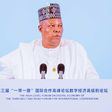 Nigeria's Vice President, Kashim Shettima [Presidency]