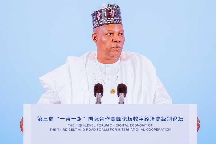 Nigeria's Vice President, Kashim Shettima [Presidency]