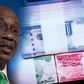Godwin Emefiele presides over naira redesign policy