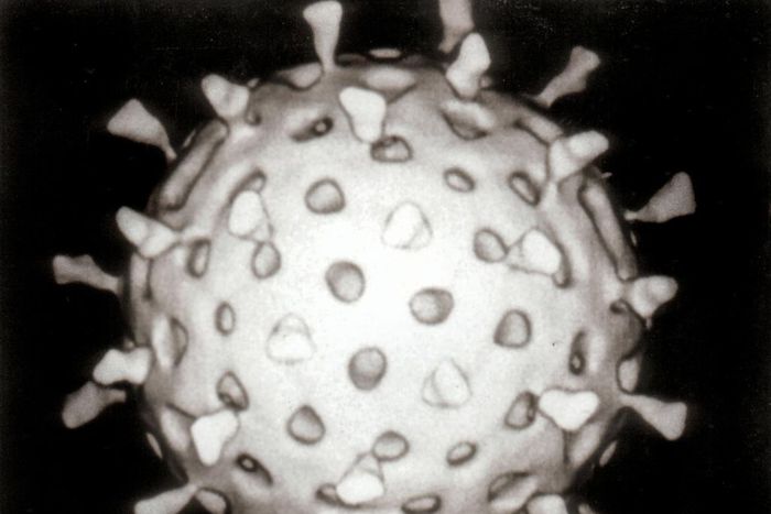 Rotavirus Reconstruction (Wikipedia)