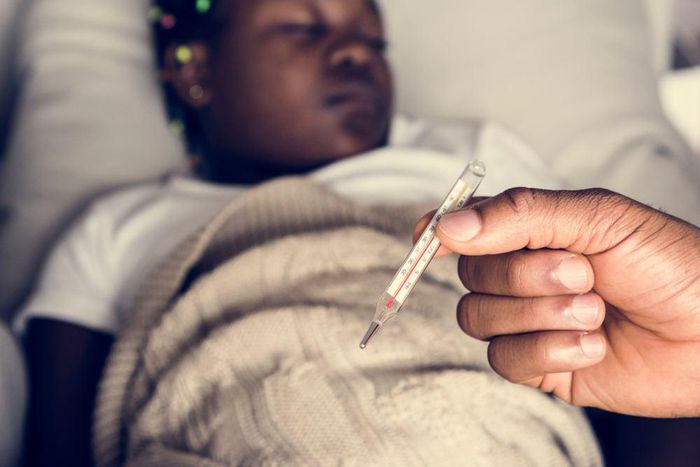 Types of typhoid fever