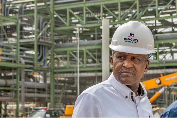 Aliko Dangote's refinery project has the capacity to produce 650,000 barrels per day. [Nairametrics]