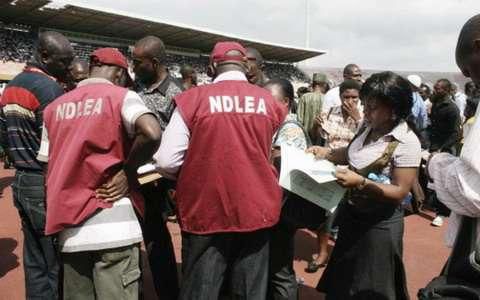 NDLEA operatives.