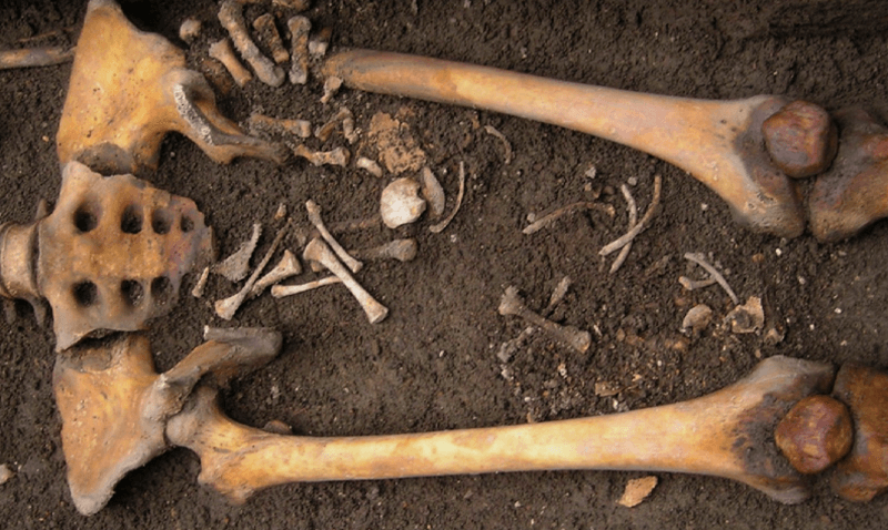 The remains of a coffin birth uncovered during a 2018 archaeological dig in Imola, Italy [ati]