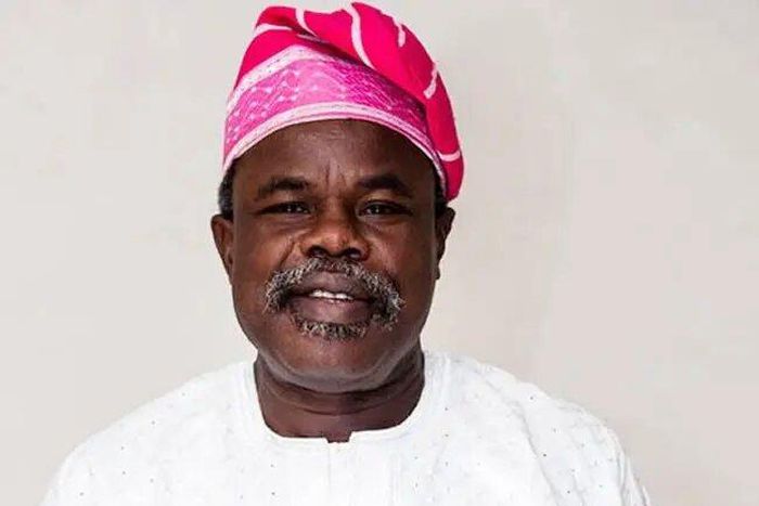 Bamidele Oloyeloogun [Premium Times]