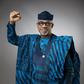 Governor Dapo Abiodun of Ogun State