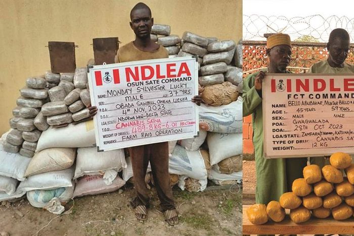 NDLEA arrests 3 visually-impaired members of drug syndicate  [NDLEA:Facebook]