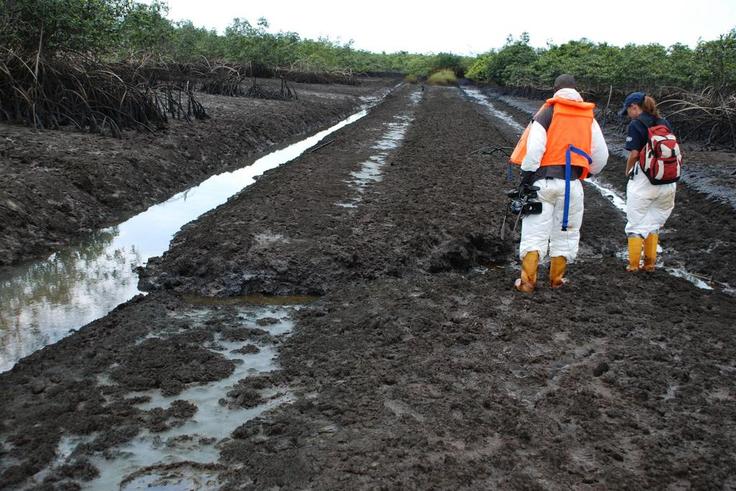 FG clarifies position on clean-up, emergency projects in Ogoniland [economicconfidential]