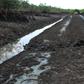 FG clarifies position on clean-up, emergency projects in Ogoniland [economicconfidential]