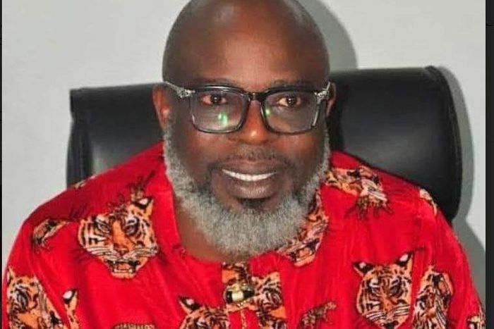 Deputy Vice-Chancellor (Academics) of Abia State University, Prof. Godwin Emezue [The Punch]