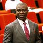 Deputy Senate President, Ike Ekweremadu