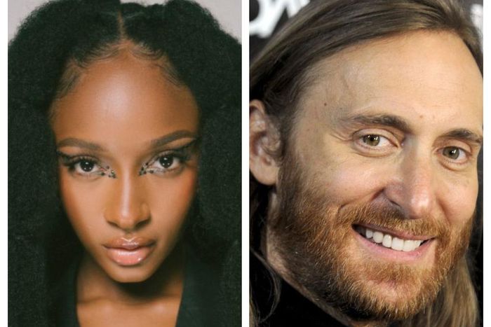 EDM superstar David Guetta likens Ayra Starr to Rihanna