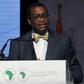 African Development Bank (AfDB) President, Dr Akinwumi Adesina (NAN)