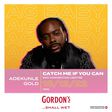 Let the fun be-gin: Gordon's partners Adekunle Gold to colour December