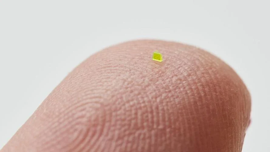 The world's smallest bag [local3news]